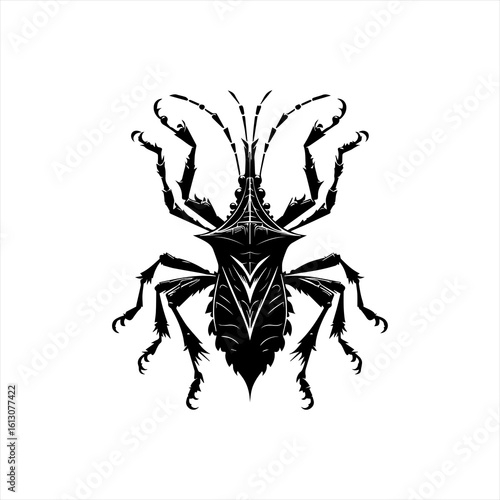 Insect illustration