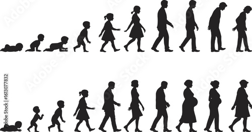 Life stages illustration, growing up timeline, childhood to old age, aging process silhouette, male female development, human life journey