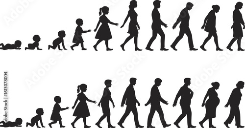 Life stages illustration, growing up timeline, childhood to old age, aging process silhouette, male female development, human life journey