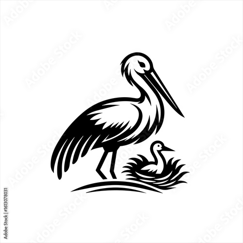 Pelican with baby bird in nest