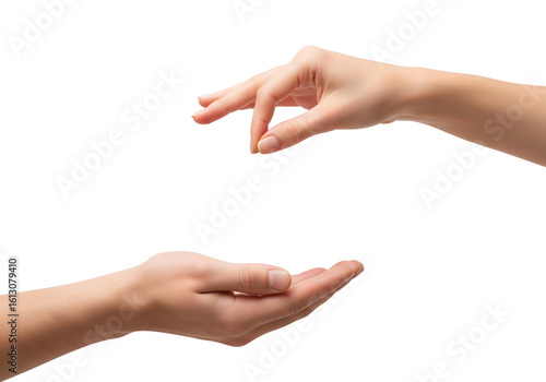 Woman's hands giving and receiving, a concept of charity or sharing. Isolated on transparent background, png