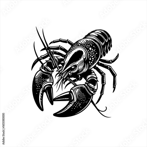 A lobster with claws