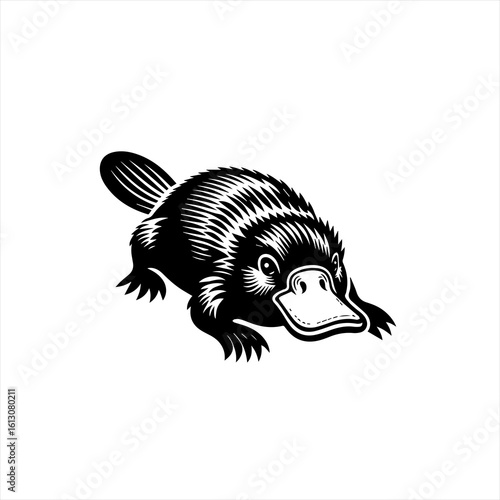 A platypus walking