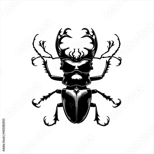 Stag beetle illustration isolated on white