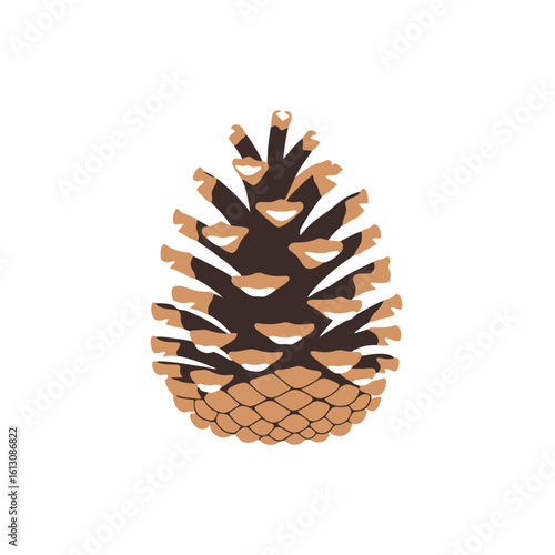 Stylized Pinecone Illustration on White Background - Nature & Forest Element Graphic