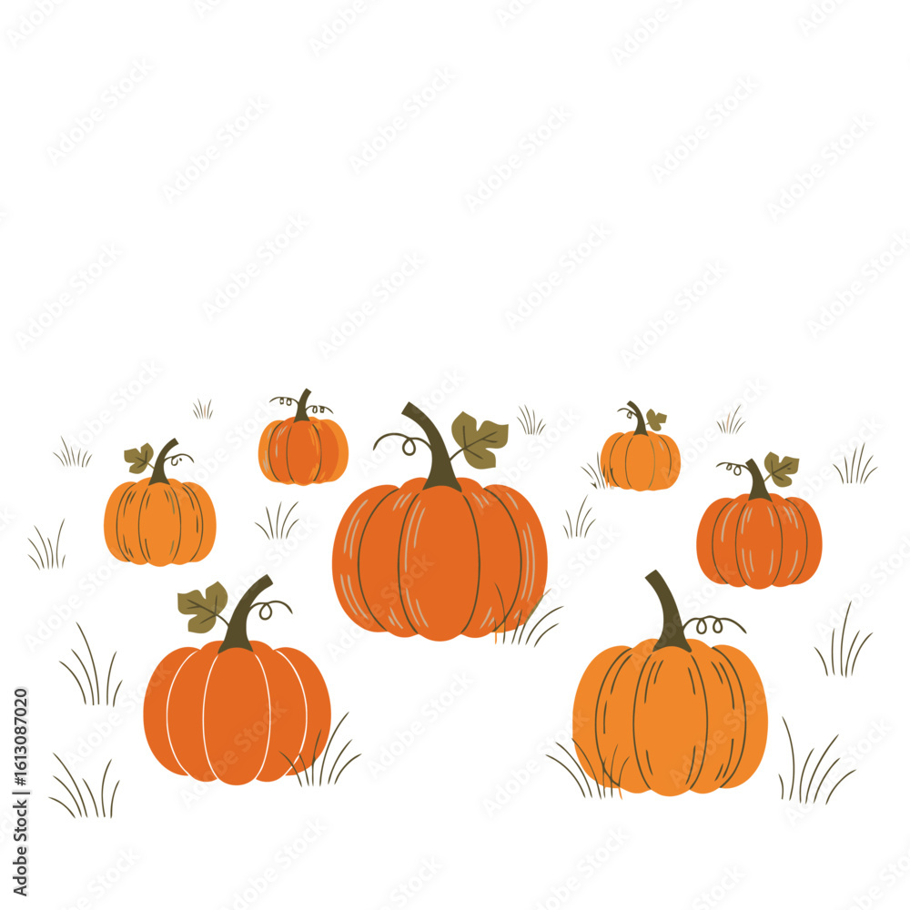Obraz premium Vibrant Orange Pumpkins Scattered on White Background with Grass Elements. Autumn Harvest Illustration.