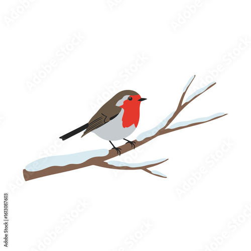 Winter Robin Bird Perched on Snow-Covered Branch Illustration