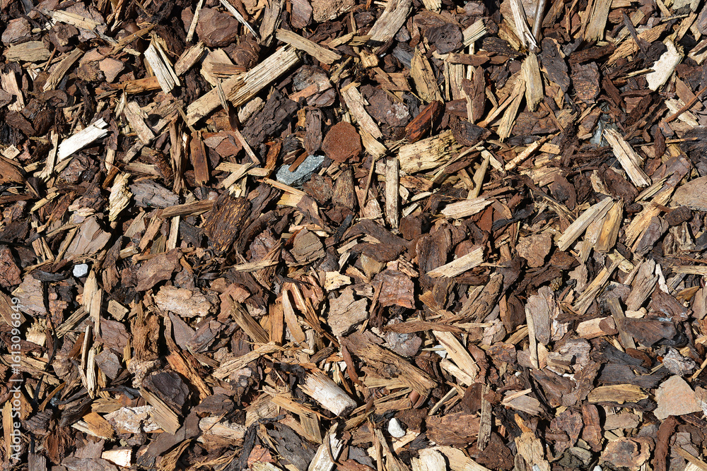 A dense overhead view showcases a natural ground covering of diverse wood chips, offering a rustic texture A dense overhead view showcases a natural ground covering of diverse wood chips, offering a rustic texture
