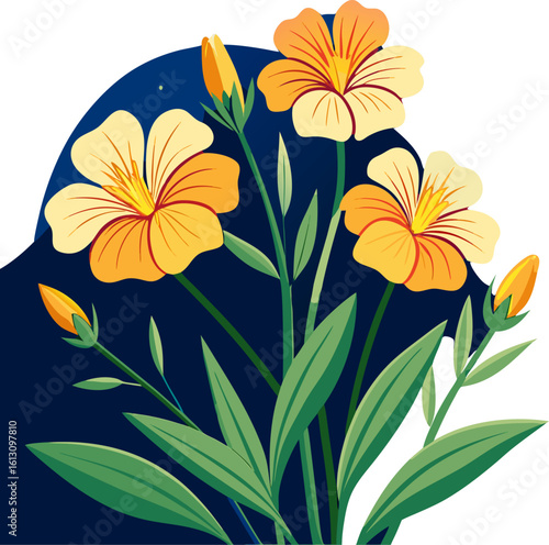 Evening Primrose flowers