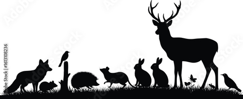 Silhouette of Various Wild Forest Animals Including Deer, Fox, Rabbits, and Birds in Grass, Representing Wildlife, Nature, and Ecosystems.