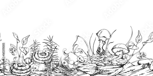 Suillus larch bolete slippery jack milk-cap mushroom, blackberry cranberry on bark, moss lichen growth, fallen autumn leaves twigs needles. Hand drawn vector ink seamless banner. Autumn forest floor