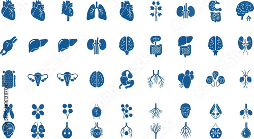 Collection of Human Organs, Medical Vector Icons