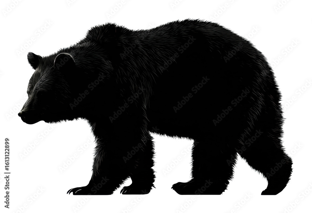 Fototapeta premium Wild bear walking silhouetted against nature scene isolated on transparent background, png