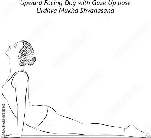 Sketch of young woman practicing Urdhva Mukha Shvanasana yoga pose. Upward Facing Dog yoga pose. Isolated vector illustration.