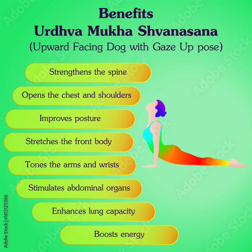 Benefits of practicing Urdhva Mukha Shvanasana yoga pose. Upward Facing Dog yoga pose. Isolated vector illustration