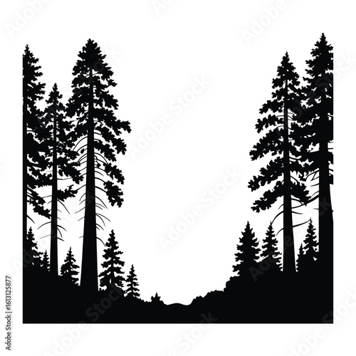 Redwood Trees with Fog Silhouette, Vector, Illustration, Outline, Line Art, Icon, White Background.