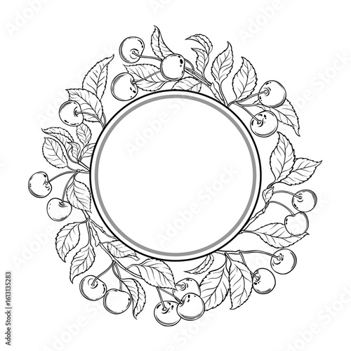 Cherry Branch with Berries and Leaves Outline Round Frame. Organic natural nutritional healthy food ingredient, vegetarian diet product. Vector isolated for design or decoration.