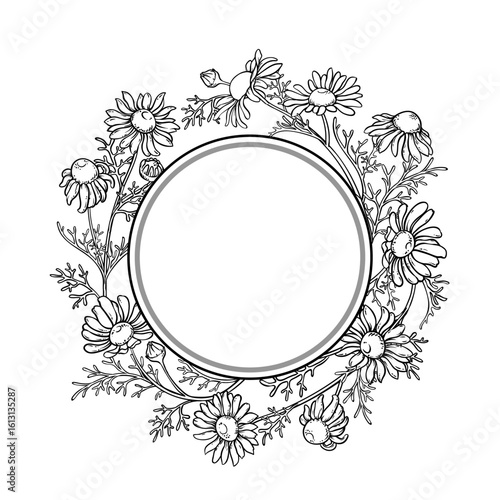 Chamomile Branch with Flowers and Leaves Outline Round Frame. Ingredient for cosmetics, health care, alternative medicine. Vector isolated for design or decoration.