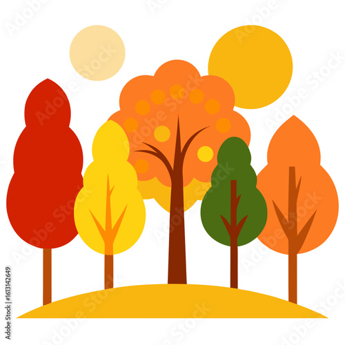 forest clearing with sunlight and bright fall tree