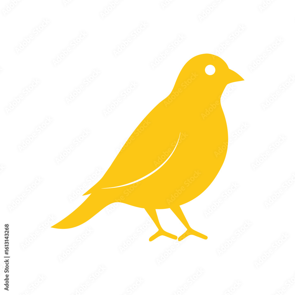 canary bird on a white background canary bird on a white background