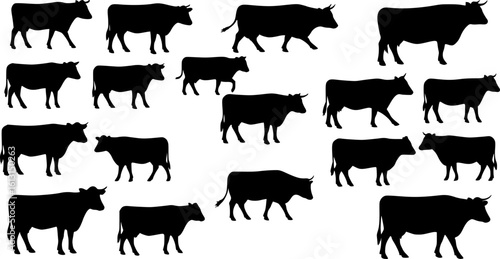 cow silhouette Vector set, cattle silhouettes, diverse breed of cows. Ideal for farm, ranch branding. Perfect for logos, decals. Black, white background. Bulls, cows, standing, walking, running