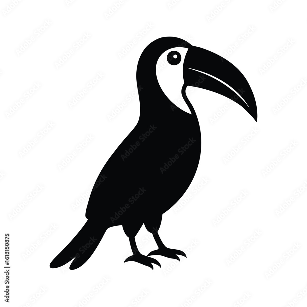 Fototapeta premium toucan isolated on white