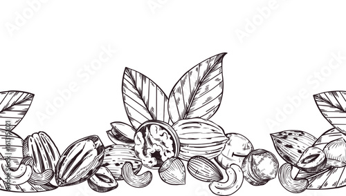 Seamless Vector Border of Nuts, Walnut, Cashew, Pecan, Hazelnut, Macadamia, Tree Leaves. All objects are hand-drawn with ink. For printing on food packaging, towel design. Vector illustration