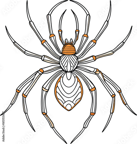 Eco friendly Halloween decoration Detailed illustration of a spider with orange markings