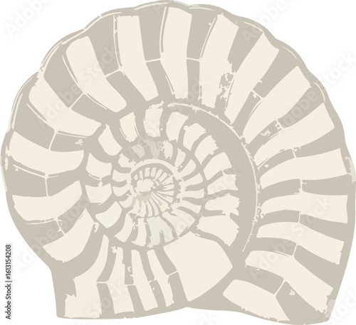 Stylized illustration of a nautilus shell, showcasing its spiral form and segmented structure in neutral tones.