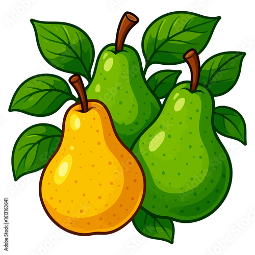 Colorful Yellow and Green Pears with Leaves illustration