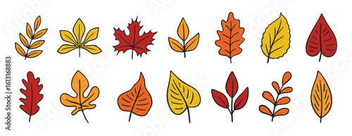 autumn leaves different trees doodle hand drawn icon set. Fall leaves colorful cartoon drawing line clipart symbol collection