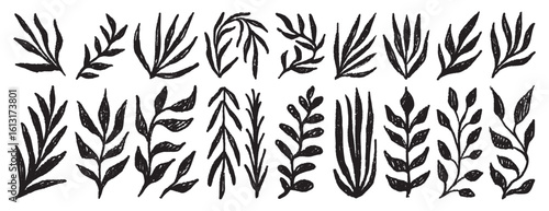 Plant silhouette leaves textured set. Leaves crayon hand drawn foliage simple collection. Trendy nature freehand rough grunge organic shapes.