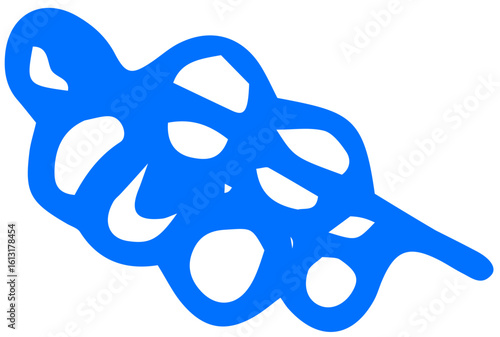 Second grape cluster, slightly varied in shape and size