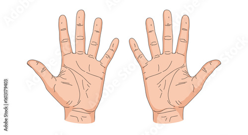 Understanding Palmistry Lines and Mounts for Future Insight and Personal Growth
