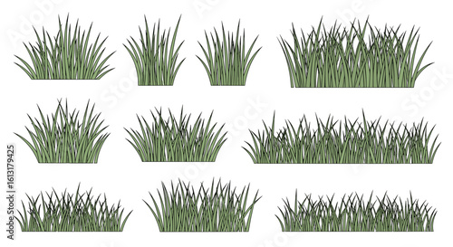 Collection Of Various Lush Green Grass Clumps And Blades For Landscape Design Elements
