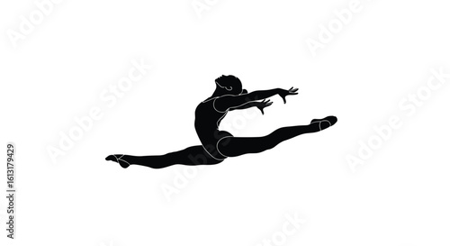 Dynamic Gymnastics Performance Capturing Athletic Grace and Powerful Movement