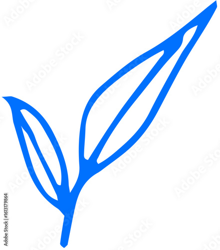 Leaf with visible vein pattern