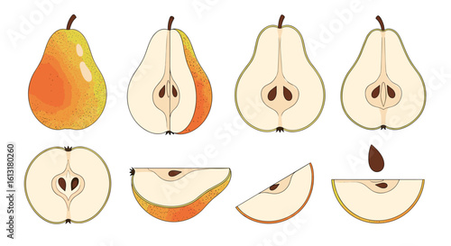 A Collection of Delicious Pears Displayed in Various Forms and Cuts Showing Their Internal Structure