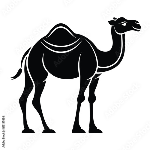 Black silhouette of a dromedary camel standing profile white background