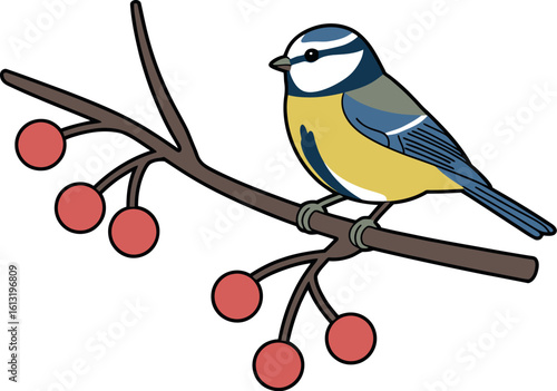 A cartoon eurasian blue tit perched on a branch with red berries against a white background