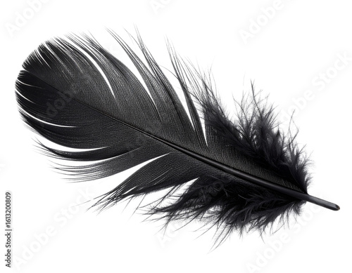  Single black feather gently floating isolated on transparent background PNG