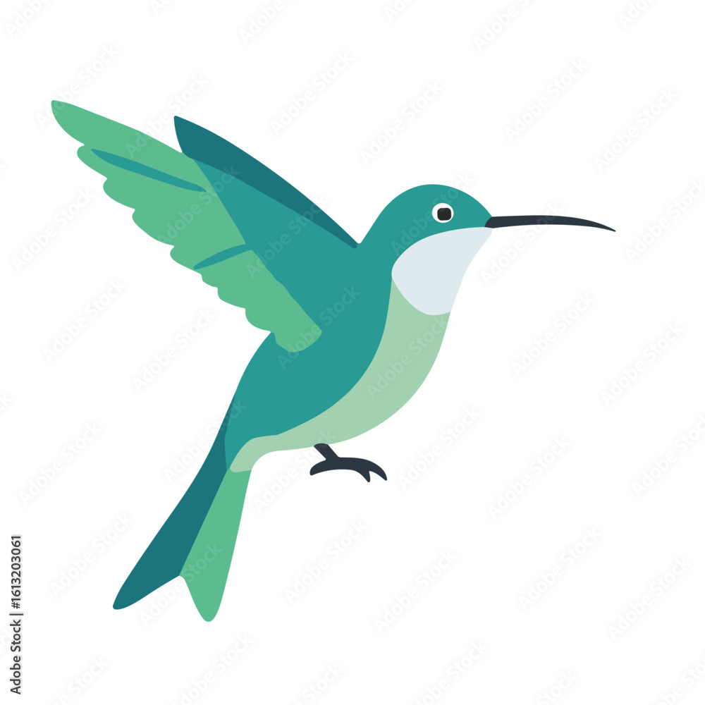 Fototapeta premium A vibrant teal hummingbird in flight, wings spread, showcasing its delicate features against a white background.