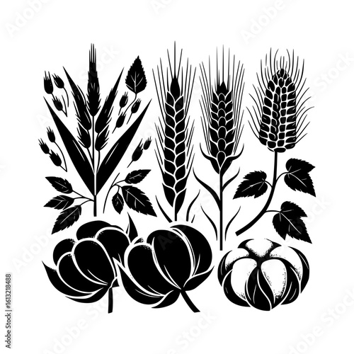 Black and white illustration of various agricultural plants and crops