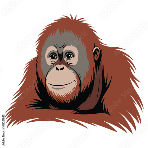 Chimpanzee