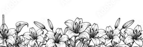 Blooming lilies decoration, vector border on the bottom for greeting cards and branding — vintage sketch doodle vector illustration on white background

