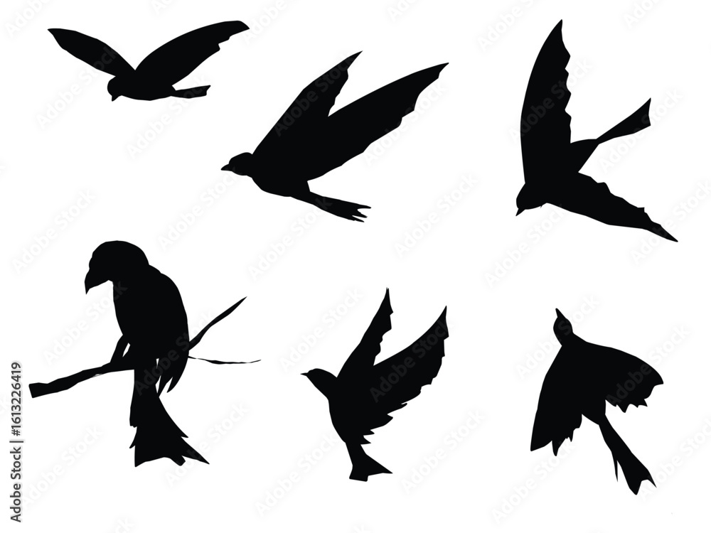 Obraz premium bird silhouette vector eps