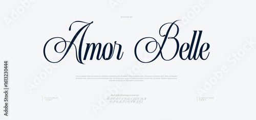 Amora Script Elegant Signature Typeface. signature Font Calligraphy Logotype Script elegant Font Type Font lettering handwritten




