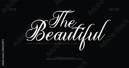 The Beautiful Luxury Signature Script Font. signature Font Calligraphy Logotype Script elegant Font Type Font lettering handwritten


