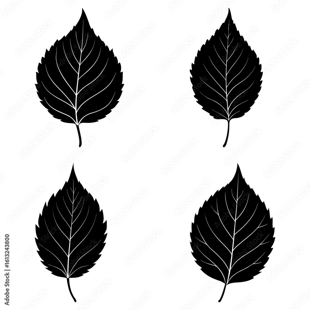 Obraz premium Four black leaves with detailed veins arranged in a square pattern on a white background illustration