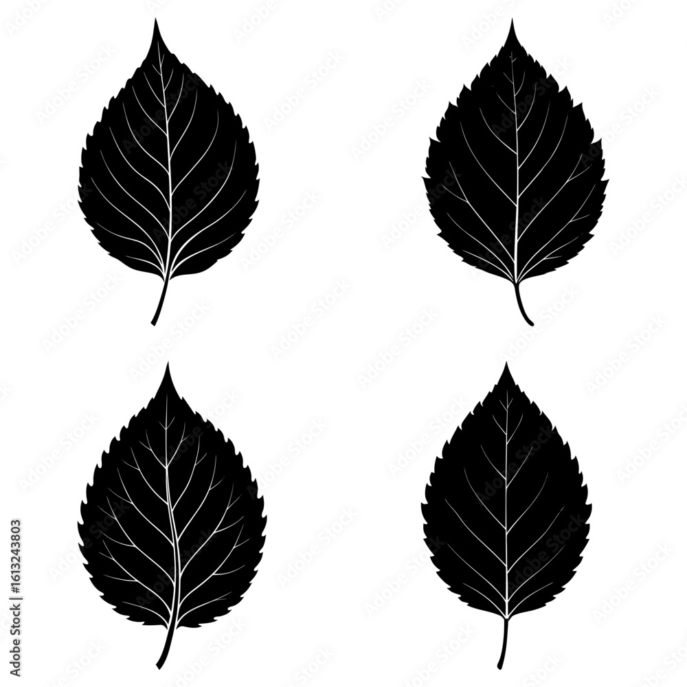 Obraz premium Four black leaf silhouettes with detailed veins arranged in a symmetrical pattern on white background